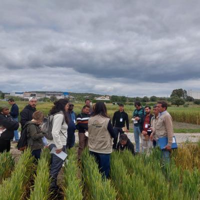 Summer School On Agroecology6