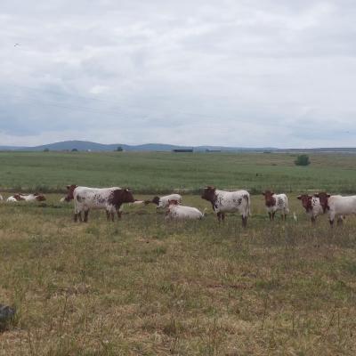 Summer School On Agroecology8