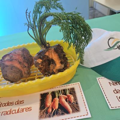 Oeiras Valley Science Festival 11