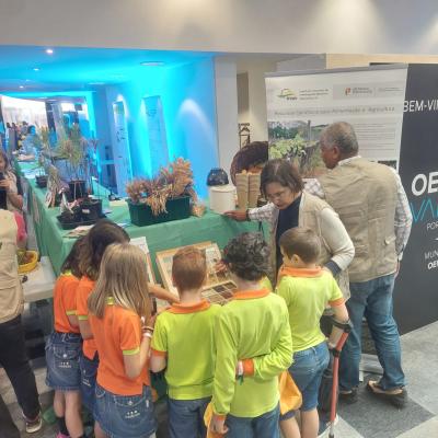 Oeiras Valley Science Festival 26