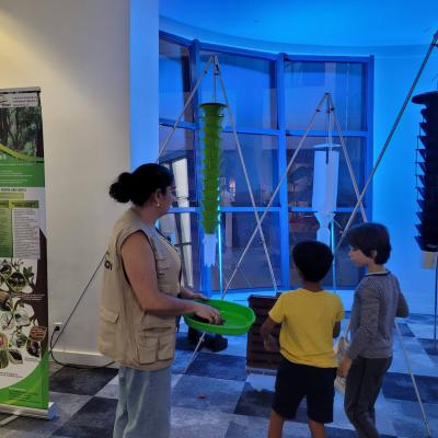 Oeiras Valley Science Festival 50