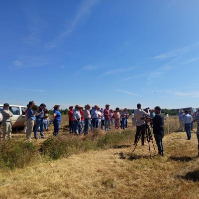 Dia Do Agricultor 2025 01