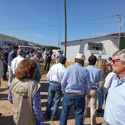 Dia Do Agricultor 2025 05
