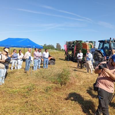 Dia Do Agricultor 2025 08