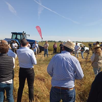 Dia Do Agricultor 2025 10