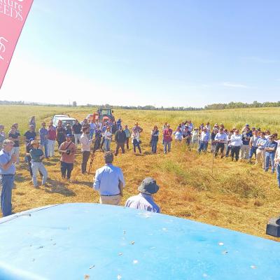 Dia Do Agricultor 2025 14