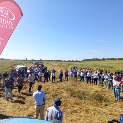 Dia Do Agricultor 2025 15