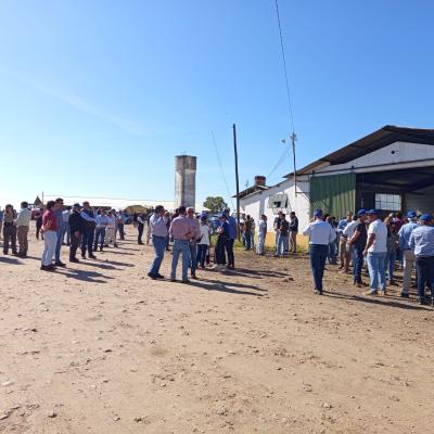 Dia Do Agricultor 2025 19