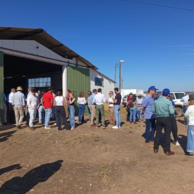 Dia Do Agricultor 2025 20