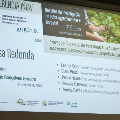 Img 20251021 114427 Img 20251021 114427