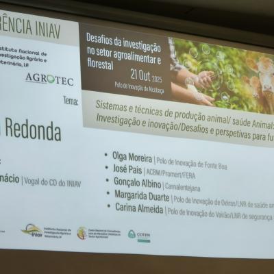 Img 20251021 140207 Img 20251021 140207