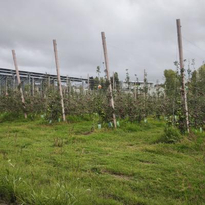 Img 20251021 153214 Img 20251021 153214