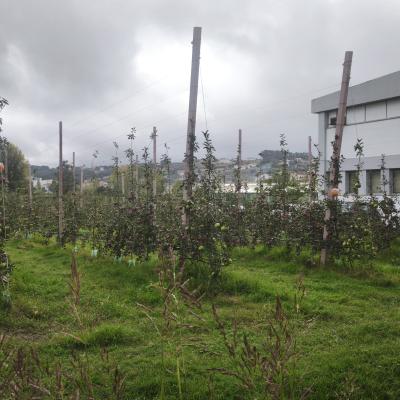 Img 20251021 153219 Img 20251021 153219