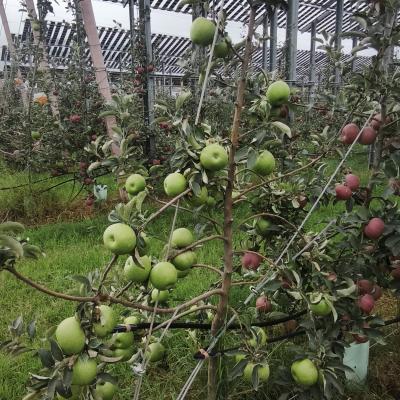 Img 20251021 153546 Img 20251021 153546