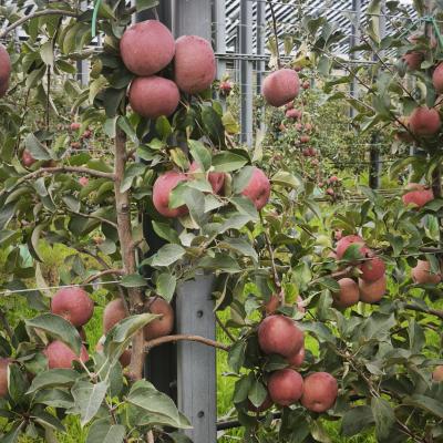 Img 20251021 153602 Img 20251021 153602