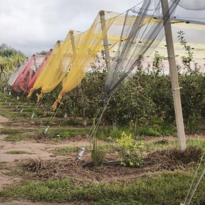 Img 20251021 161754 Img 20251021 161754