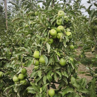 Img 20251021 163756 Img 20251021 163756