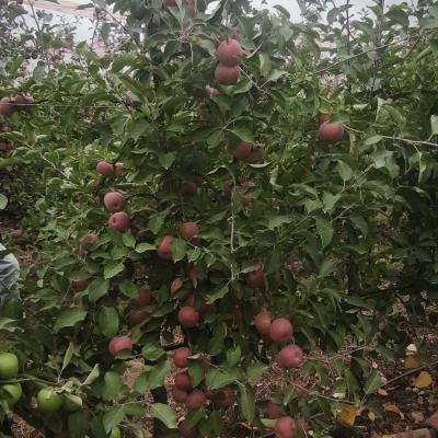 Img 20251021 163935 Img 20251021 163935