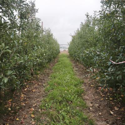 Img 20251021 165154 Img 20251021 165154