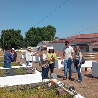 Dia Agricultor 2026 12