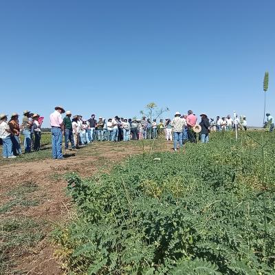 Dia Agricultor 2026 13