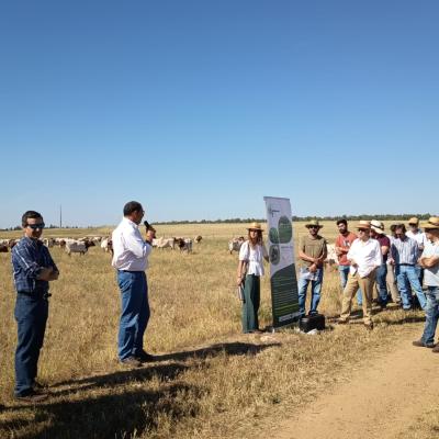 Dia Agricultor 2026 17