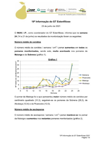 19ª Informação do GT Estenfiliose 2021 Imagem 1