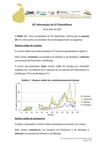 22ª Informação do GT Estenfiliose 2020 Imagem 1