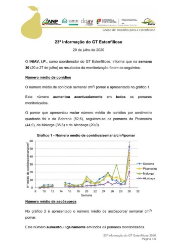 23ª Informação do GT Estenfiliose 2020 Imagem 1