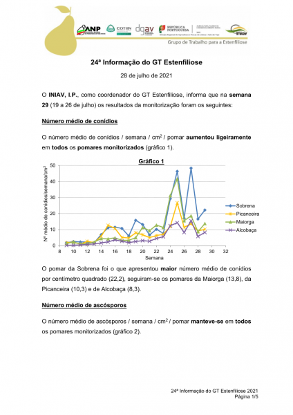 24ª Informação do GT Estenfiliose 2021 Imagem 1