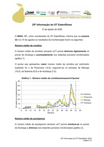 25ª Informação do GT Estenfiliose 2020 Imagem 1