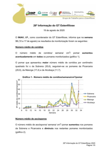 26ª Informação do GT Estenfiliose 2020 Imagem 1