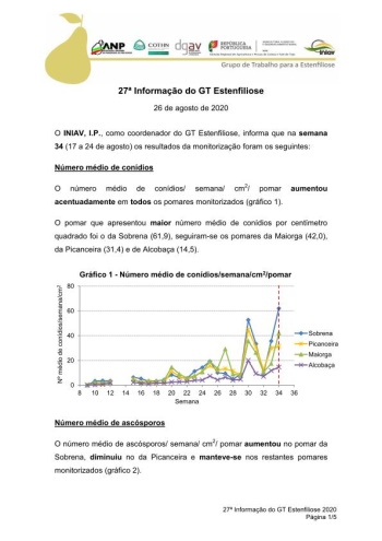 27ª Informação do GT Estenfiliose 2020 Imagem 1