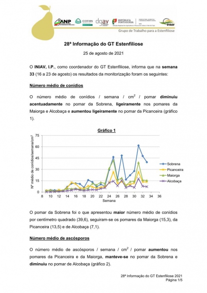 28ª Informação do GT Estenfiliose 2021 Imagem 1