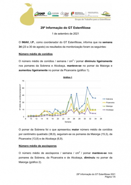 29ª Informação do GT Estenfiliose 2021 Imagem 1
