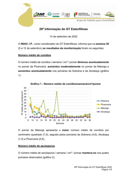 29ª Informação do GT Estenfiliose 2022 Imagem 1