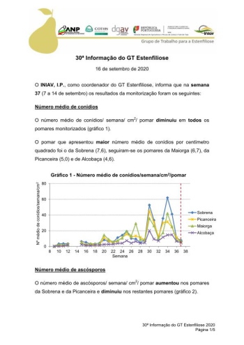 30ª Informação do GT Estenfiliose 2020 Imagem 1