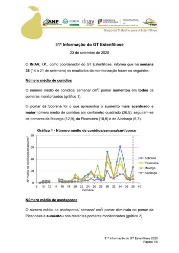 31ª Informação do GT Estenfiliose 2020 Imagem 1