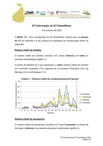 33ª Informação do GT Estenfiliose 2020 Imagem 1