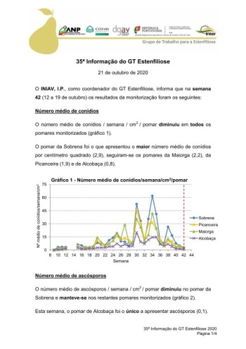 35ª Informação do GT Estenfiliose 2020 Imagem 1