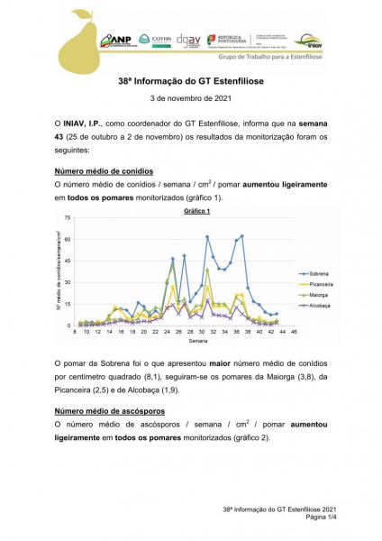 38ª Informação do GT Estenfiliose 2021 Imagem 1