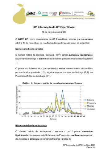 39ª Informação do GT Estenfiliose 2020 Imagem 1
