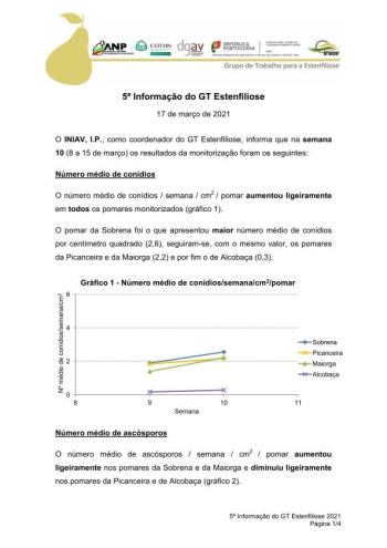 5ª Informação do GT Estenfiliose 2021 Imagem 1