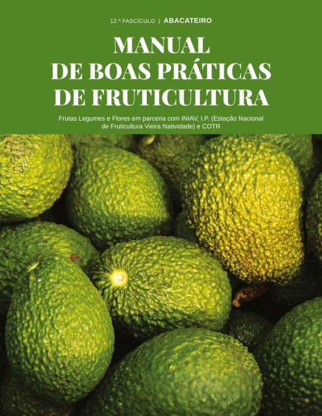 Manual de Boas Práticas de Fruticultura - Abacateiro Imagem 1
