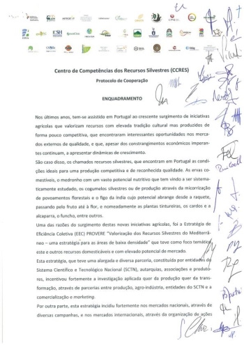 Protocolo de constituição do Centro de Competências dos ... Imagem 1