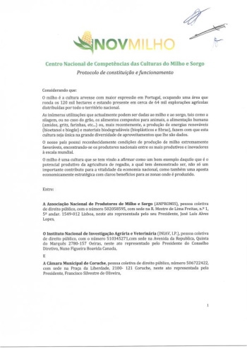 Protocolo de constituição do Centro Nacional de ... Imagem 1