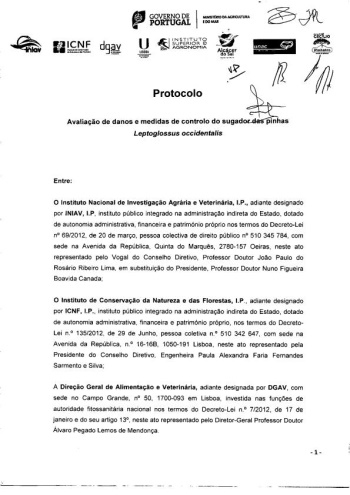 Protocolo para a constituição do grupo de trabalho para ... Imagem 1