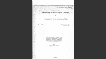 Pinheiro-bravo Nº1 Imagem 1