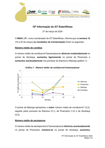 10ª Informação do GT Estenfiliose 2024 Imagem 1