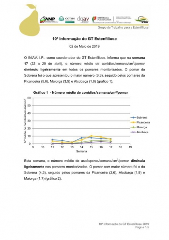 10ª Informação do GT Estenfiliose 2019 Imagem 1